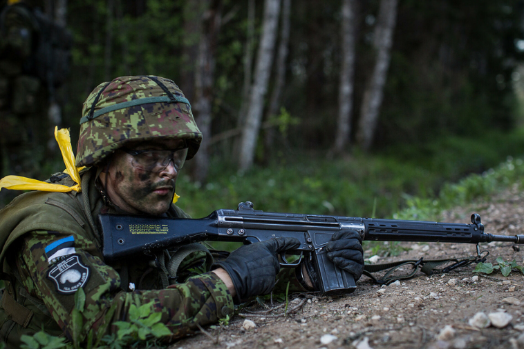 У Естонії розповіли, що обов'язково втратять у разі початку війни
